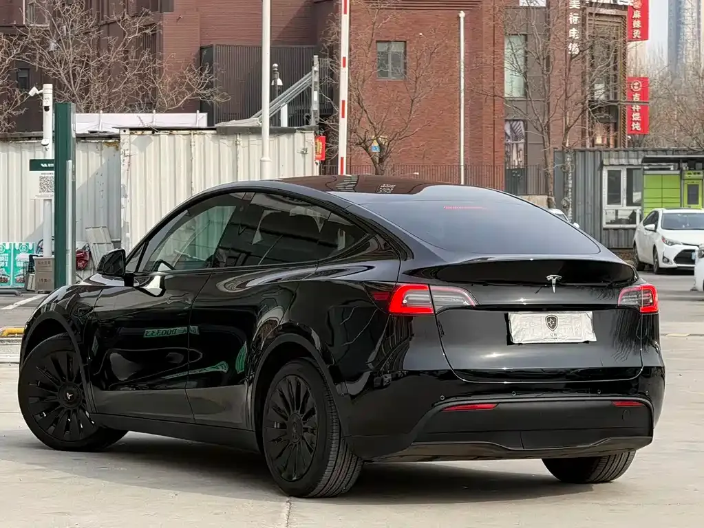 Tesla Model Y — фото 8