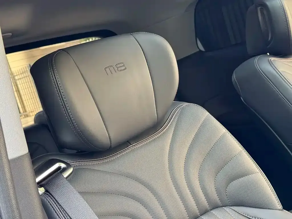 GAC Motor Trumpchi M8 — фото 2