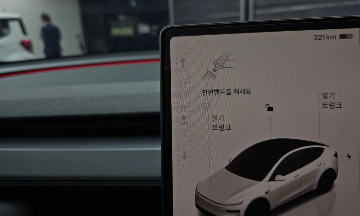 Tesla Model Y — фото 4