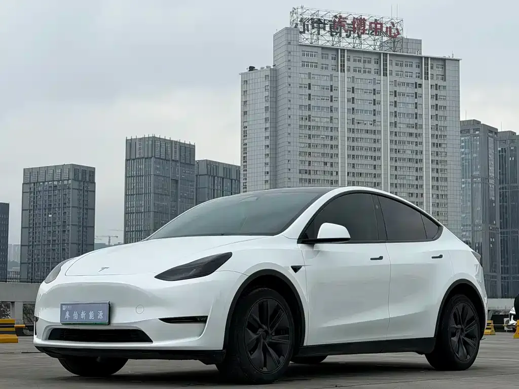 Tesla Model Y — фото 1