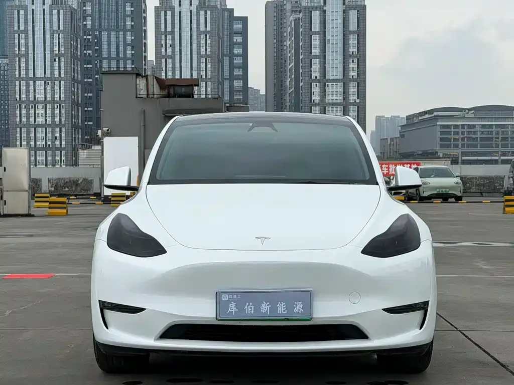 Tesla Model Y — фото 10