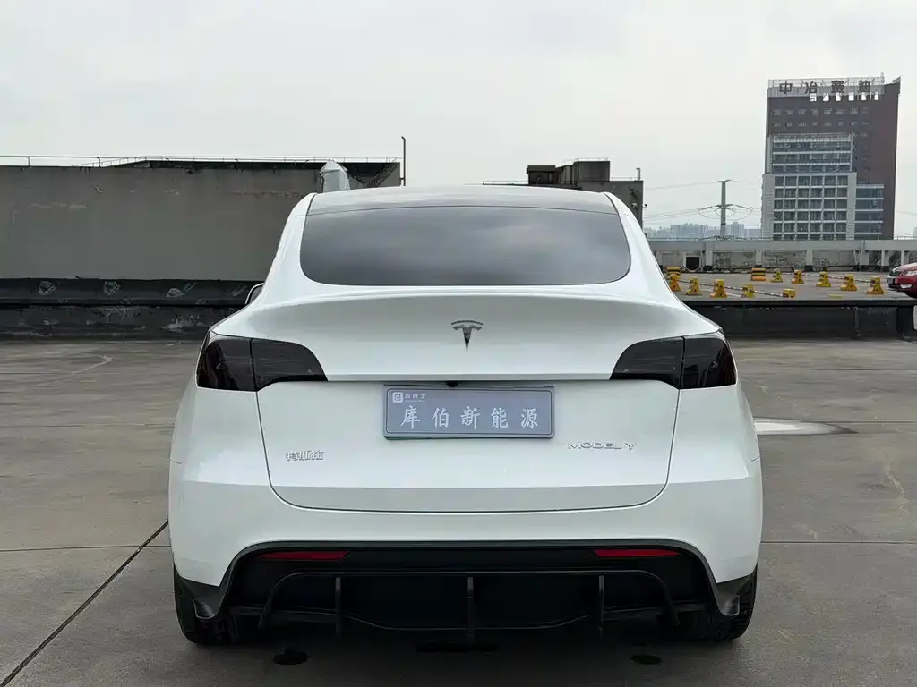 Tesla Model Y — фото 2