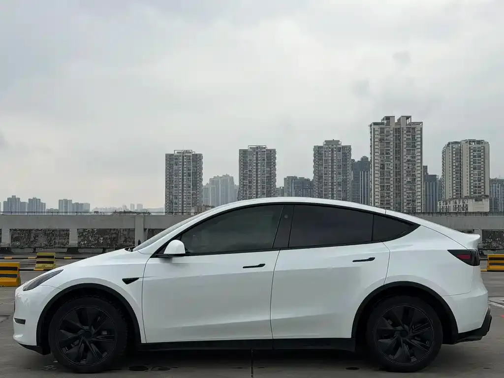Tesla Model Y — фото 3