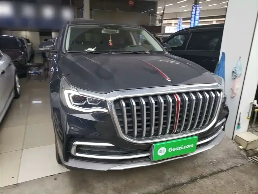 Hongqi HS7 2021 из CN, фото 6