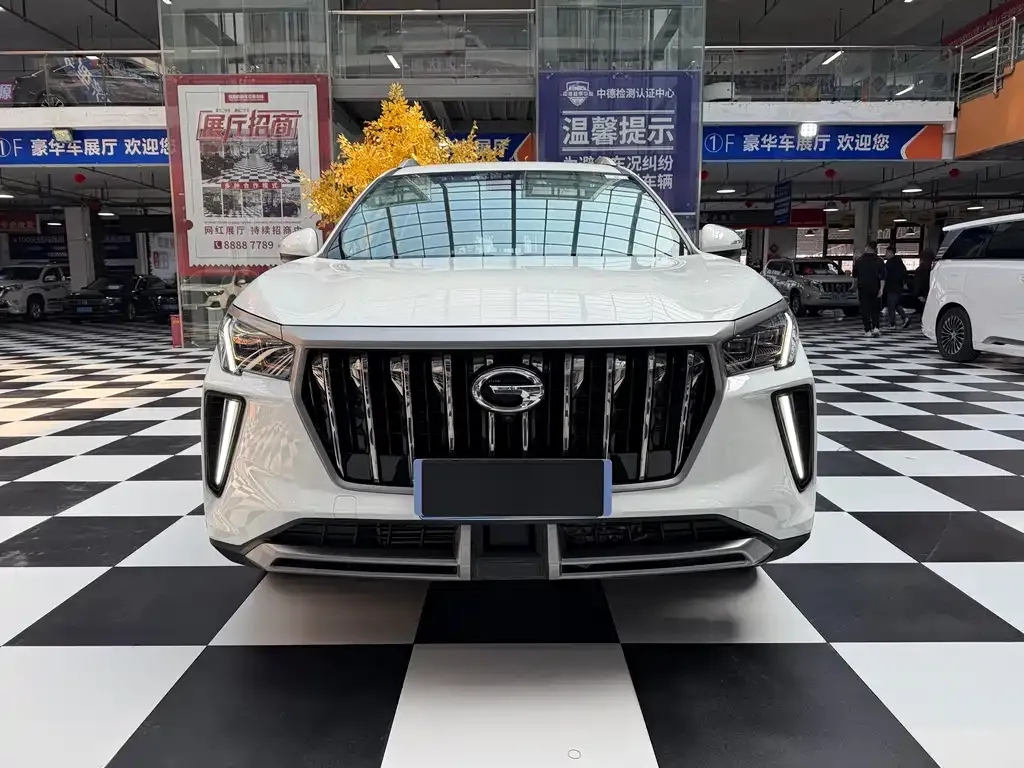 GAC Motor GS4 Plus 2022 из CN, фото 6