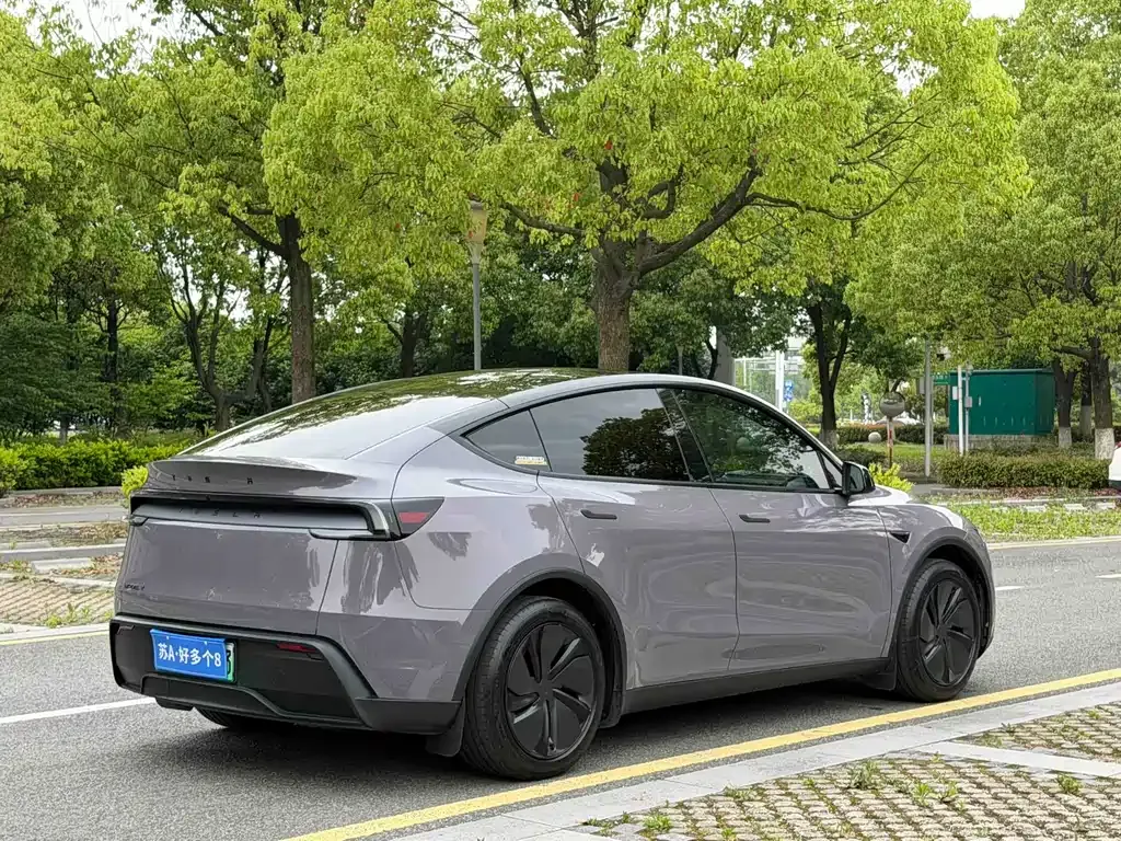 Tesla Model Y — фото 8
