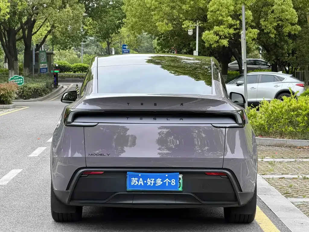 Tesla Model Y — фото 5
