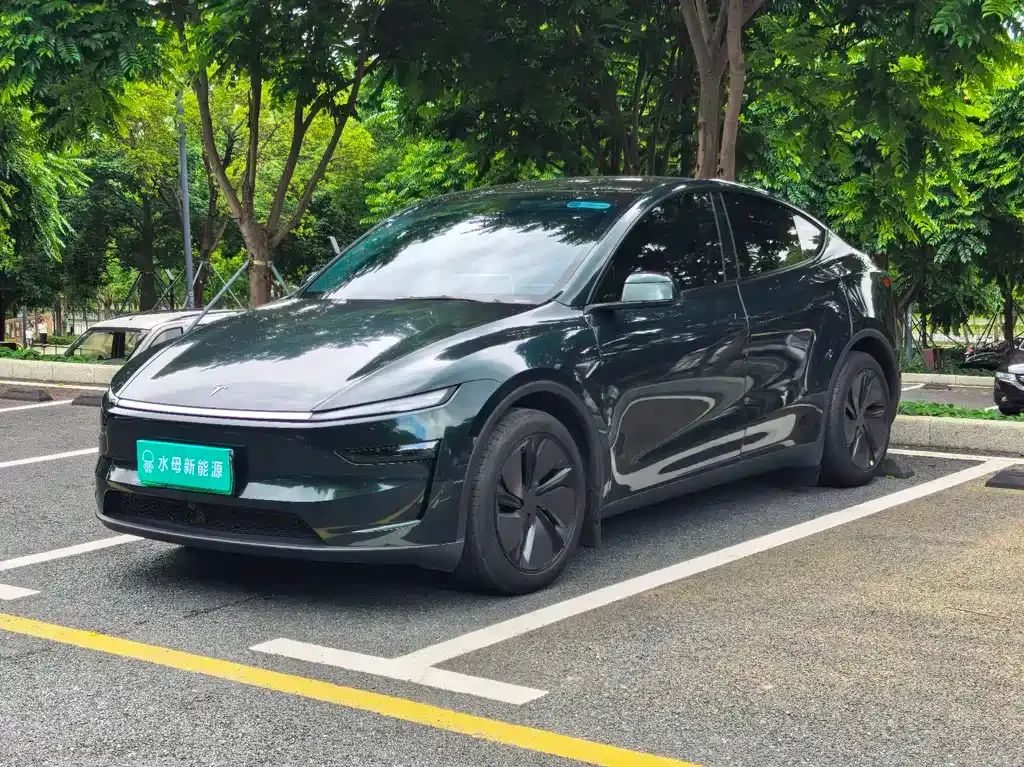 Tesla Model Y — фото 1
