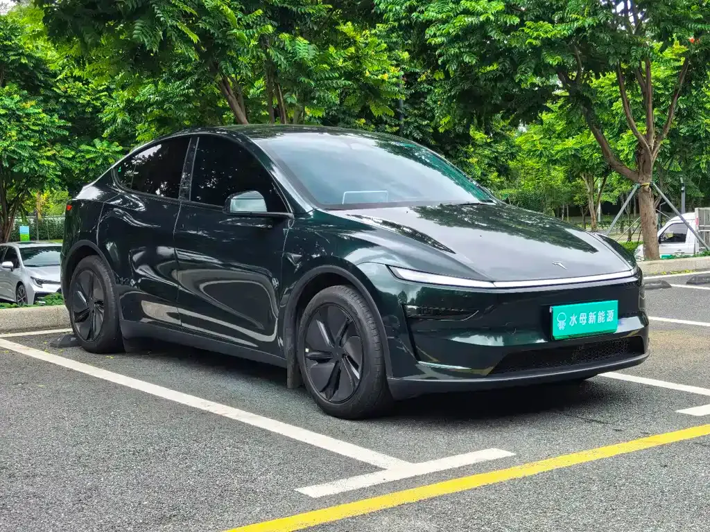Tesla Model Y — фото 8