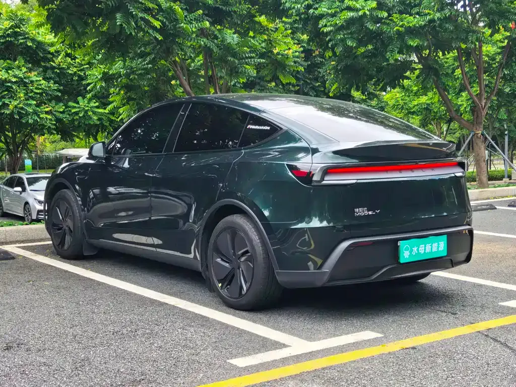 Tesla Model Y — фото 5