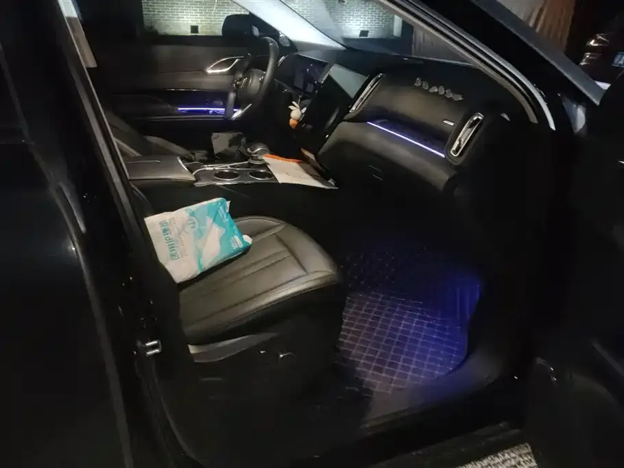 Hongqi HS3 2024 из CN, фото 3