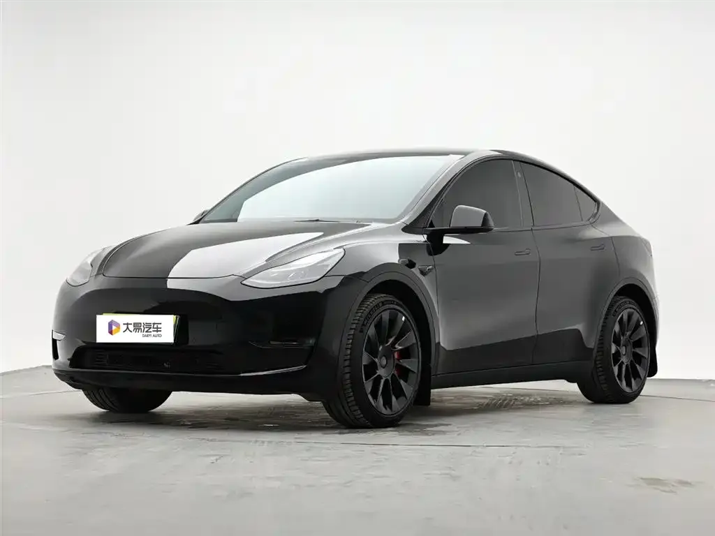 Tesla Model Y — фото 1