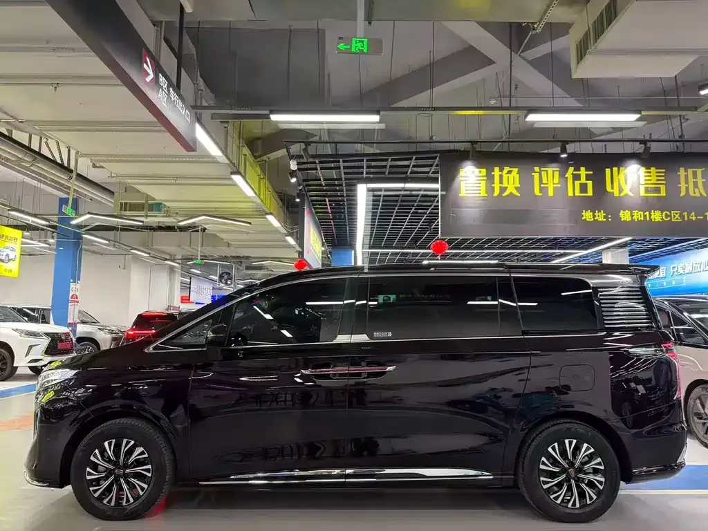 Hongqi HQ9 PHEV — фото 10