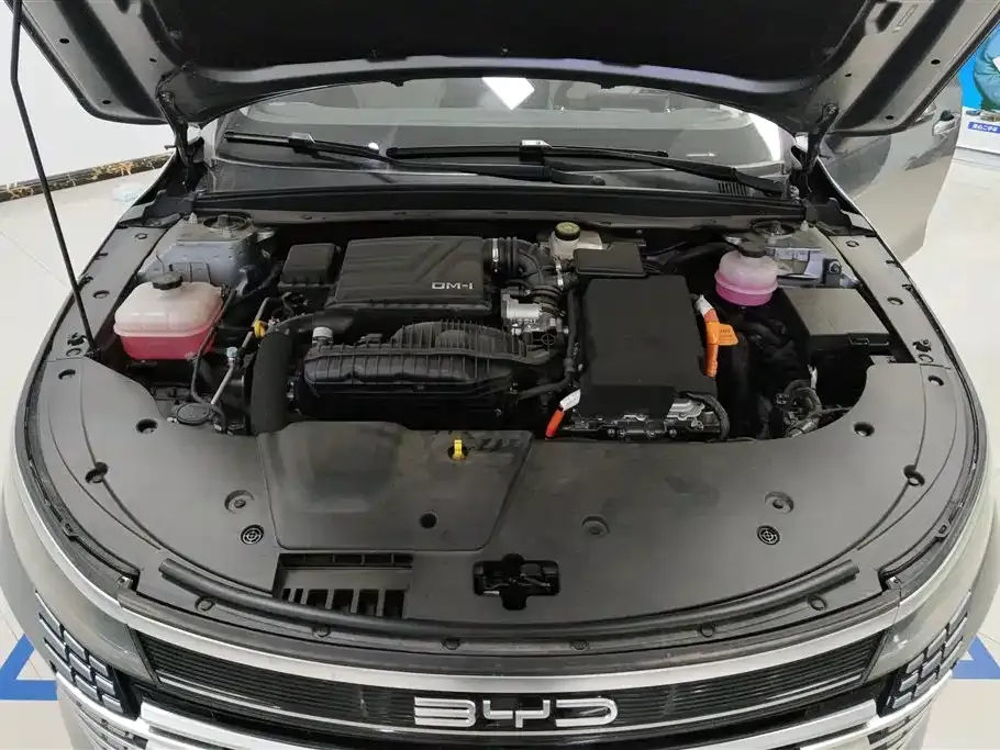 BYD Destroyer 05 2024 из CN, фото 7