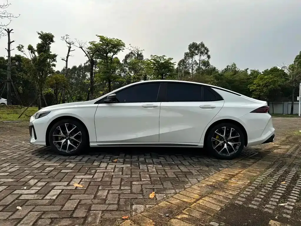 GAC Motor Shadow Leopard — фото 7