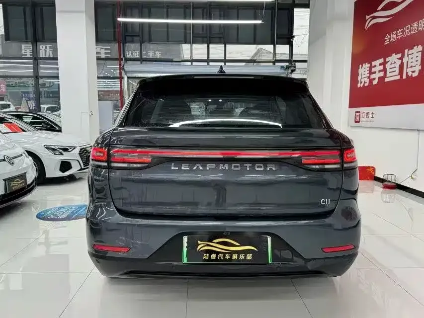 Leapmotor C11 2023 из CN, фото 4