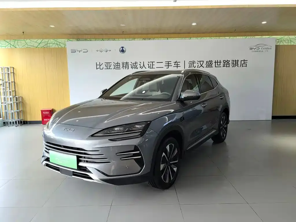 BYD PLUS New Energy — фото 1