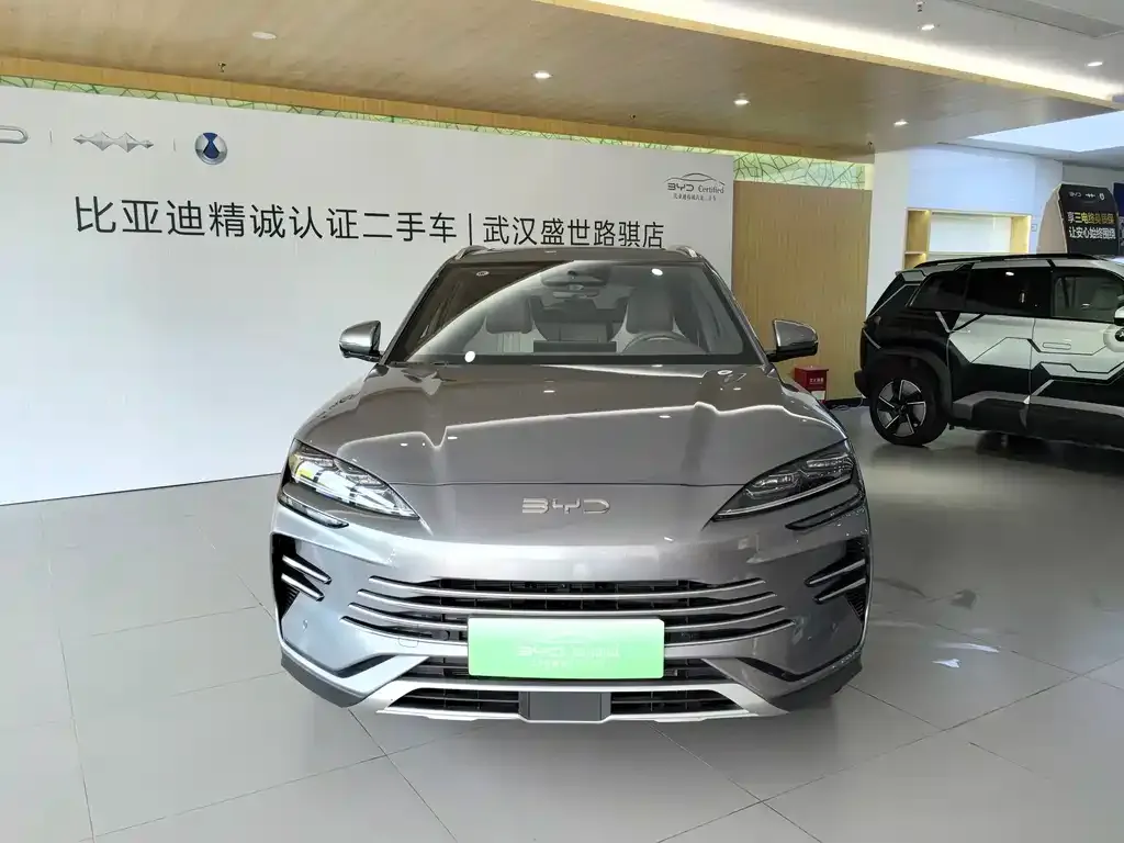 BYD PLUS New Energy — фото 6