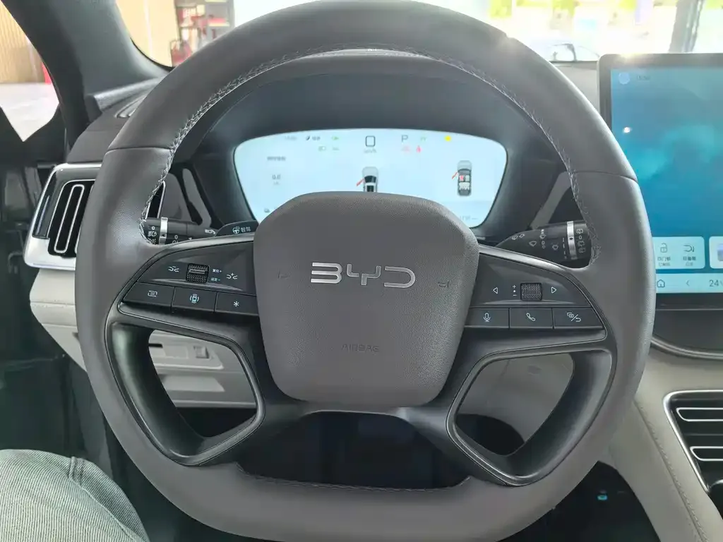 BYD PLUS New Energy — фото 5