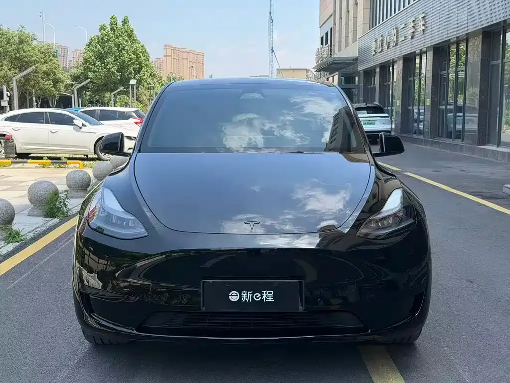 Tesla Model Y — фото 8