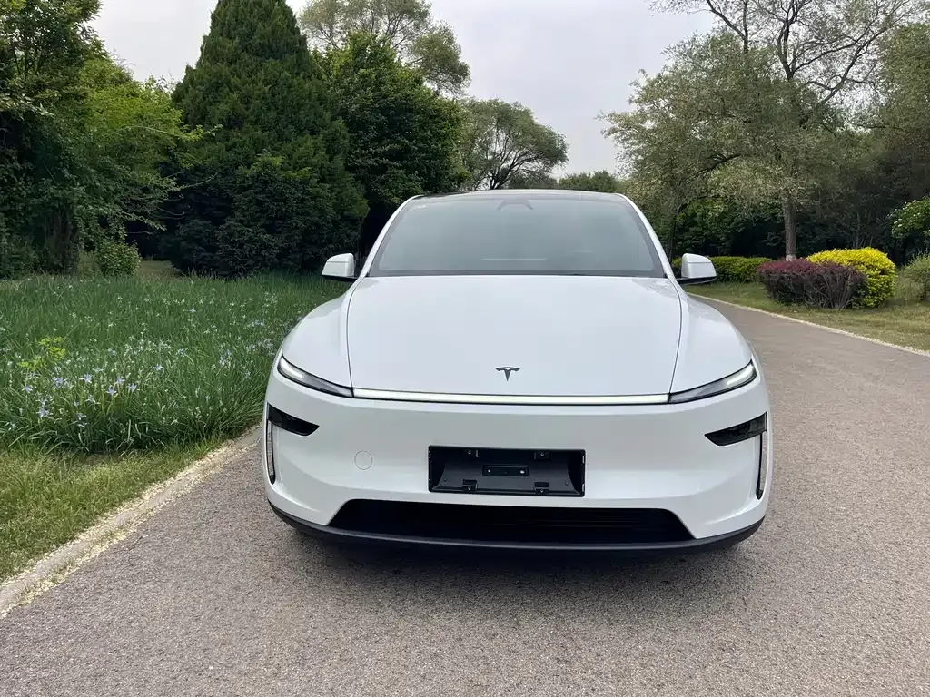 Tesla Model Y — фото 10