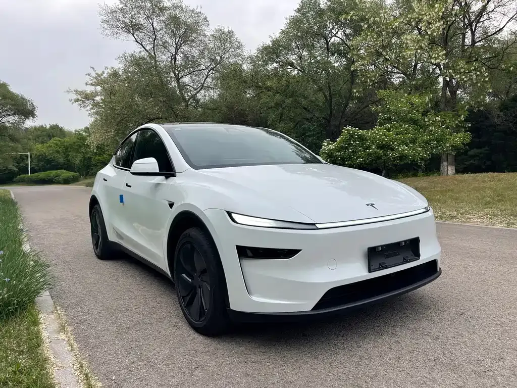 Tesla Model Y — фото 8