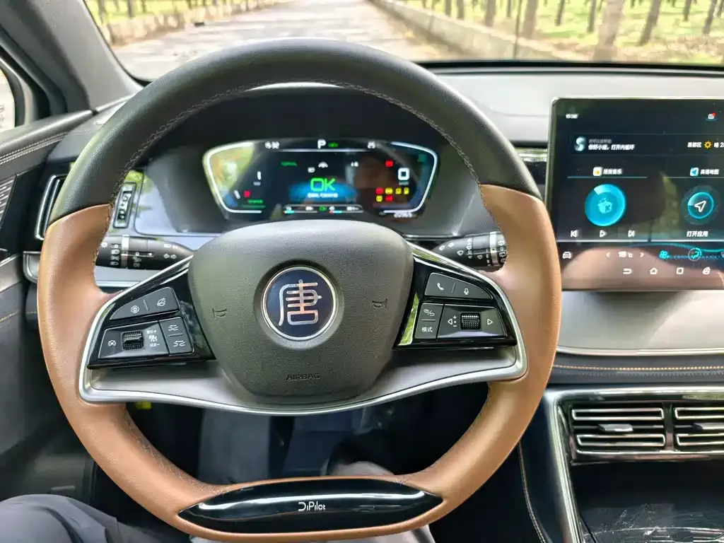 BYD Tang New Energy 2023 из CN, фото 7