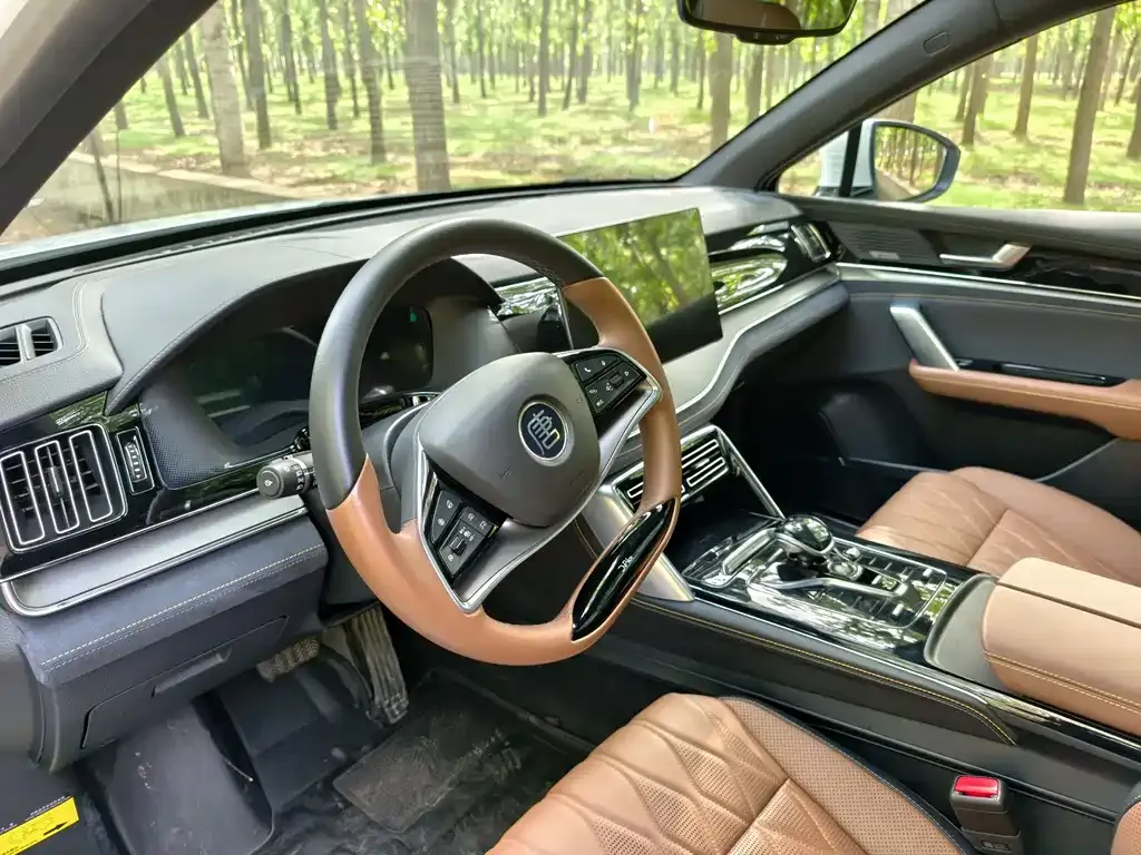 BYD Tang New Energy 2023 из CN, фото 2
