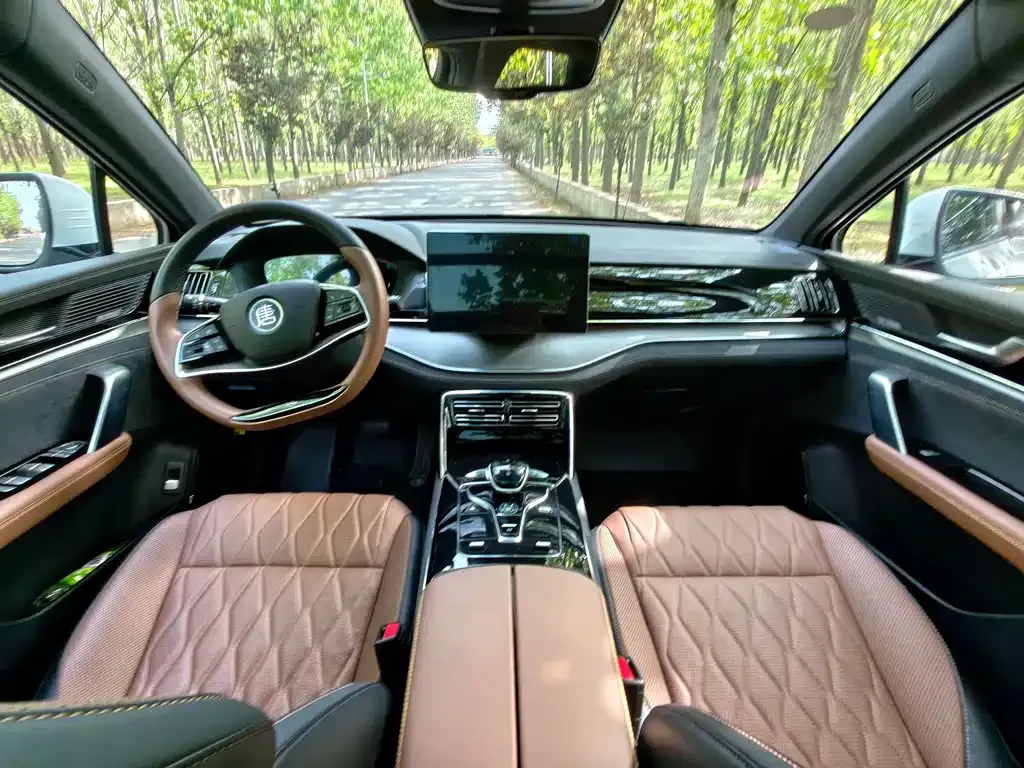 BYD Tang New Energy 2023 из CN, фото 6