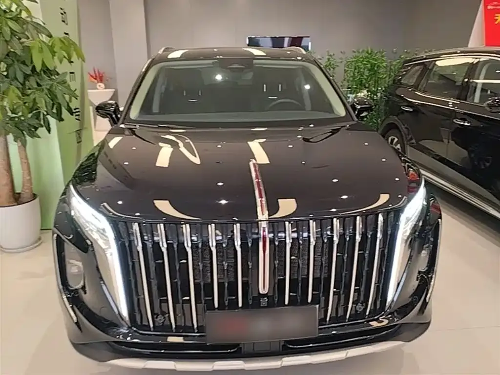 Hongqi HS7 PHEV — фото 10