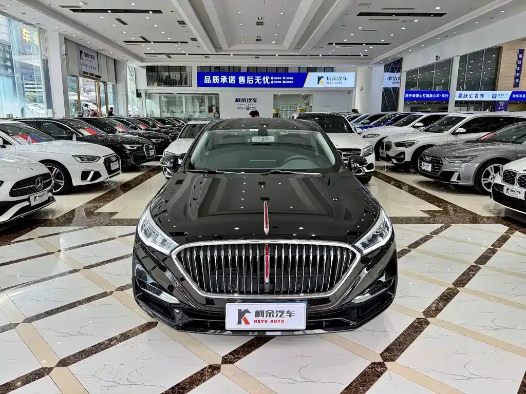 Hongqi H5 — фото 8