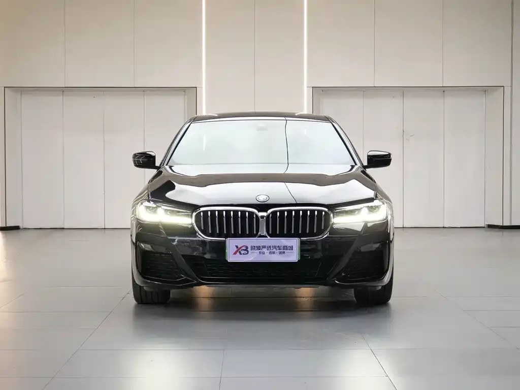 BMW 5 Series New Energy — фото 2
