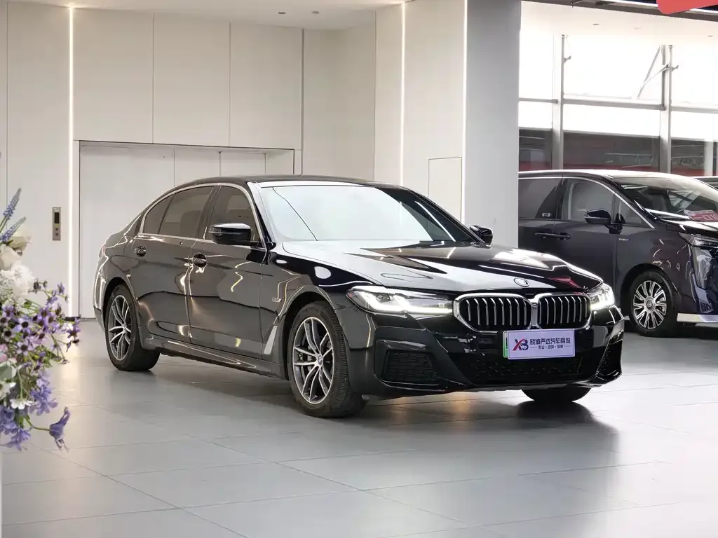 BMW 5 Series New Energy — фото 5