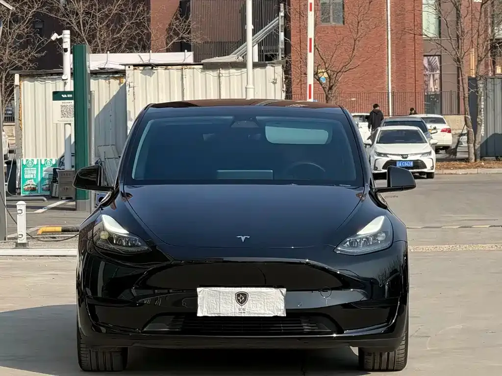 Tesla Model Y — фото 7