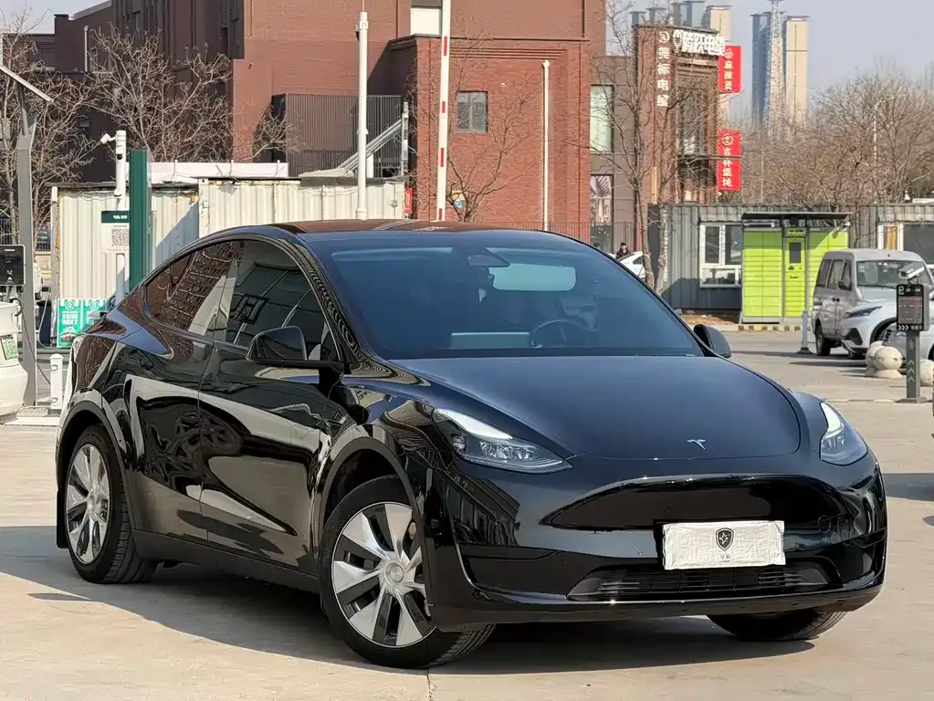 Tesla Model Y — фото 8