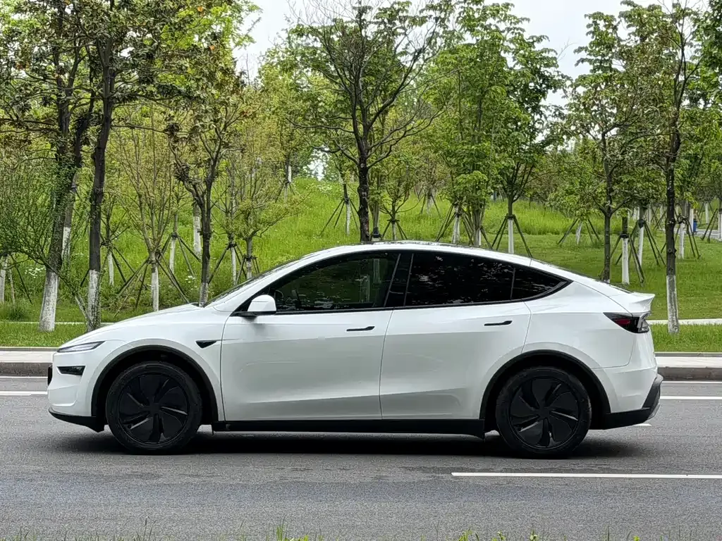 Tesla Model Y — фото 5