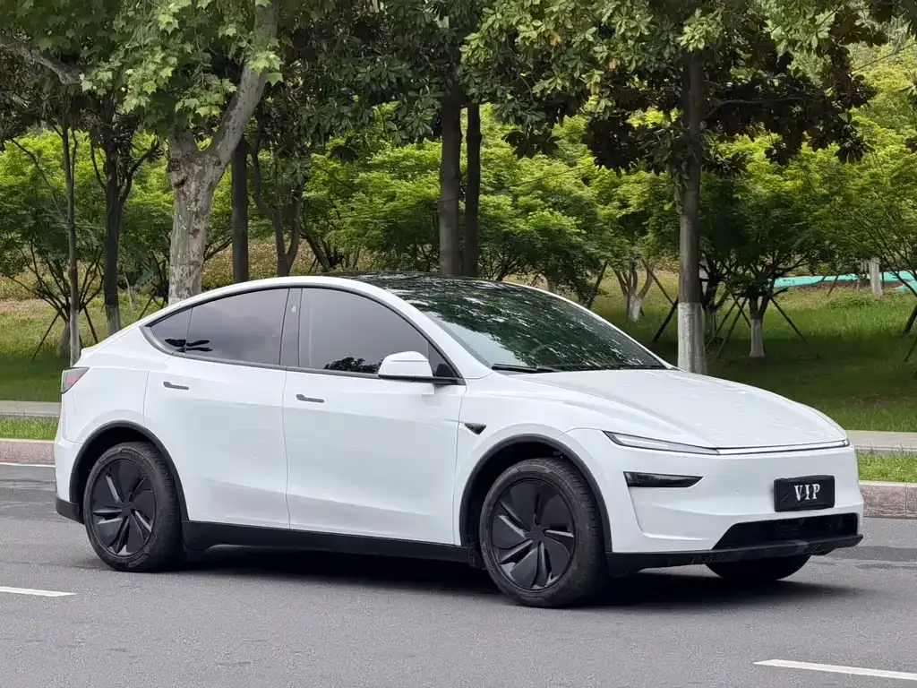 Tesla Model Y — фото 9