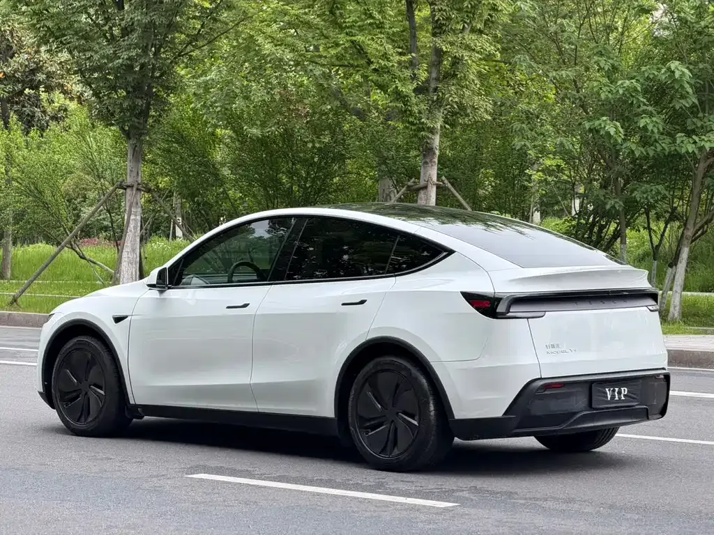Tesla Model Y — фото 10