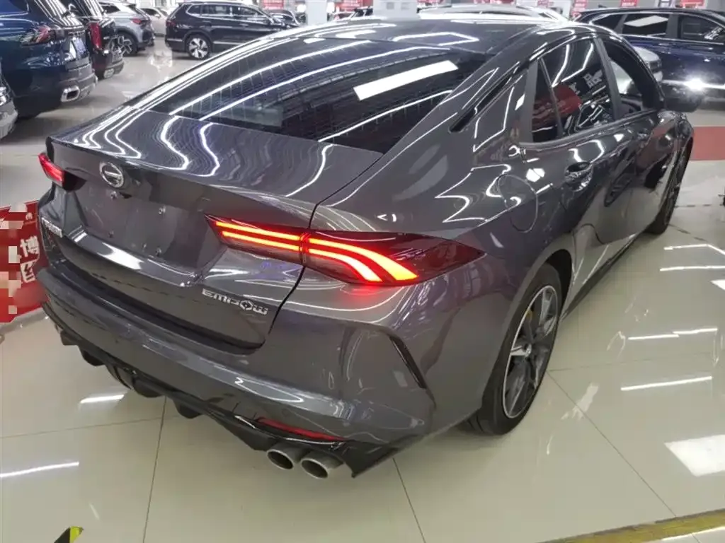 GAC Motor Shadow Leopard — фото 10