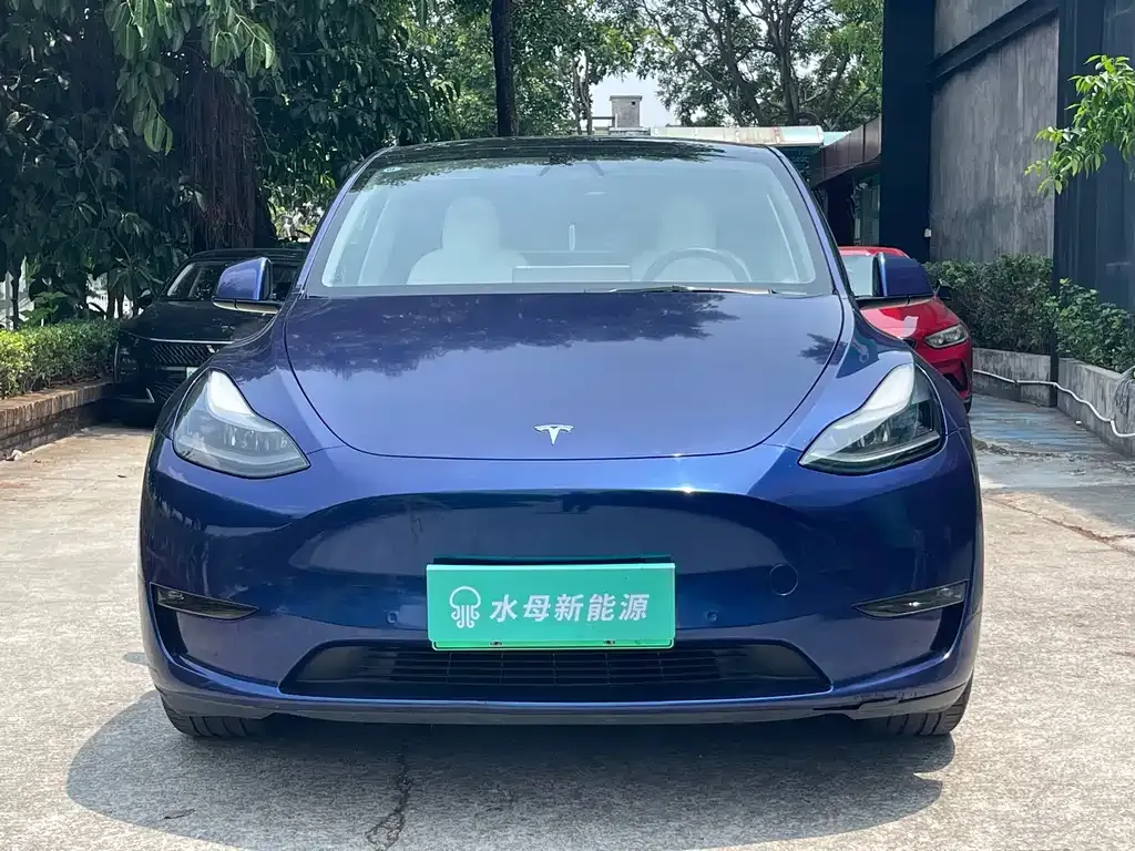 Tesla Model Y — фото 8