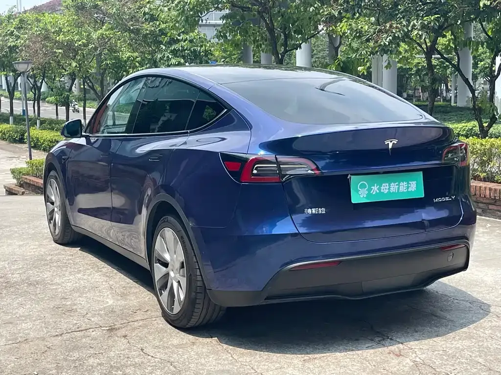 Tesla Model Y — фото 9
