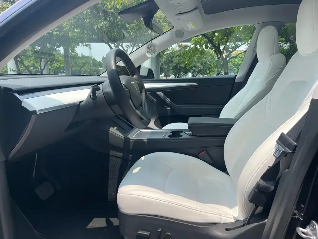 Tesla Model Y — фото 3