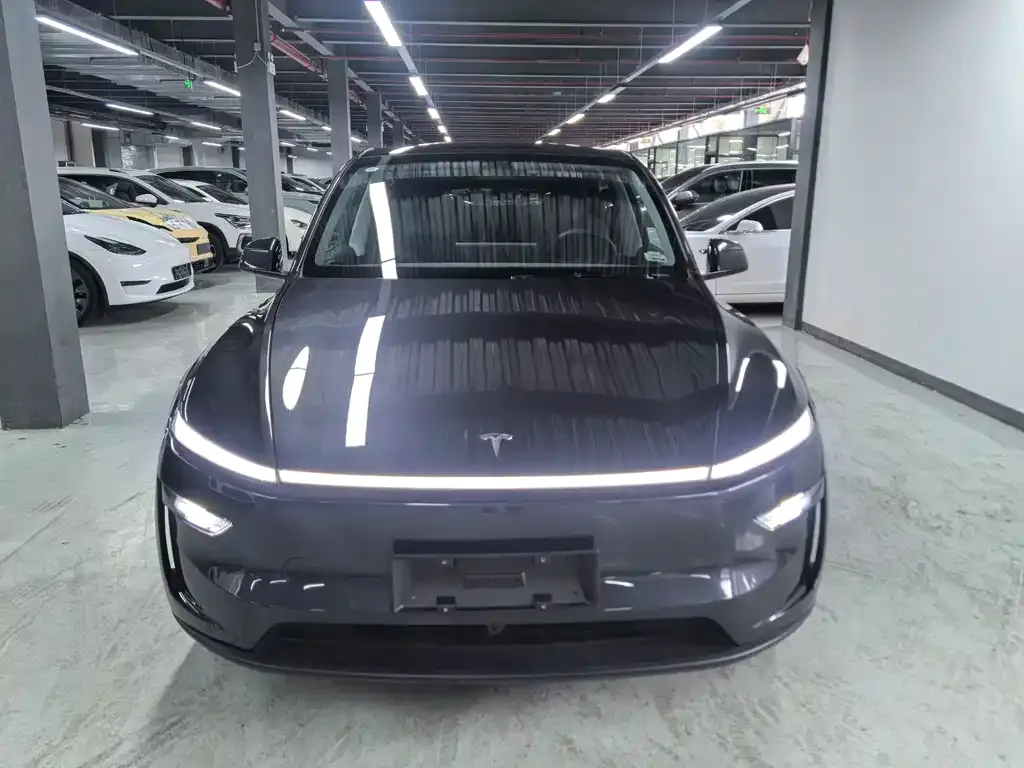 Tesla Model Y — фото 8