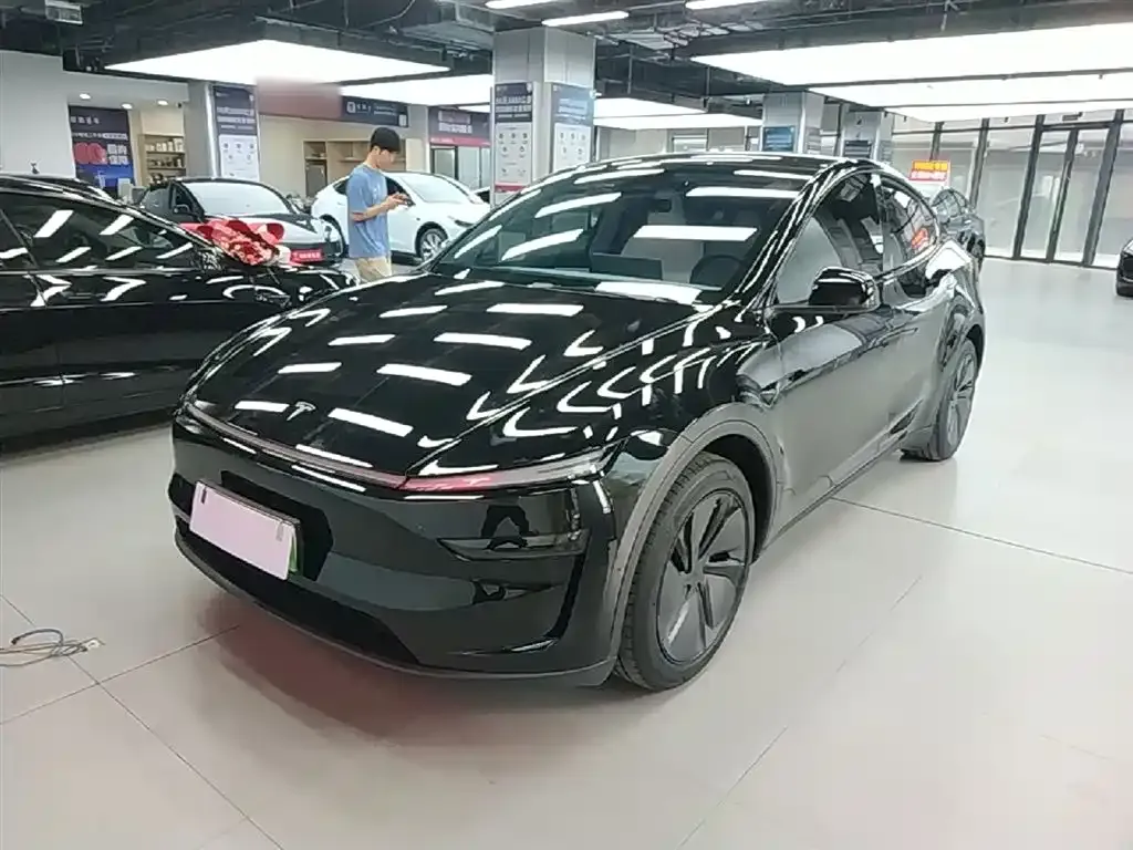 Tesla Model Y — фото 10