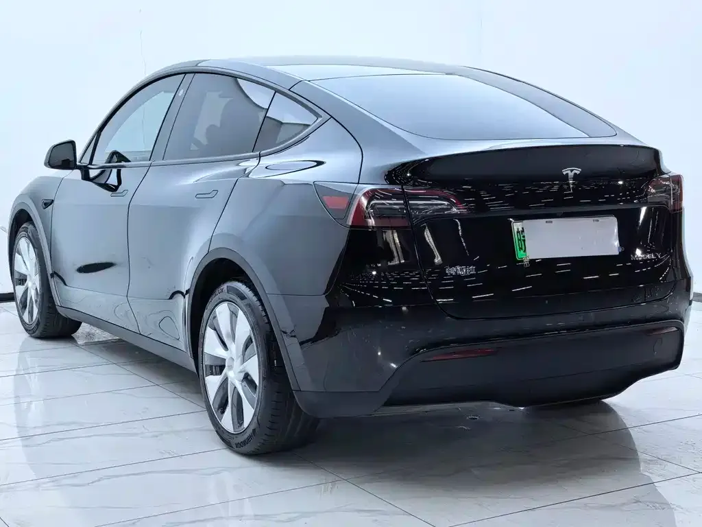 Tesla Model Y — фото 10