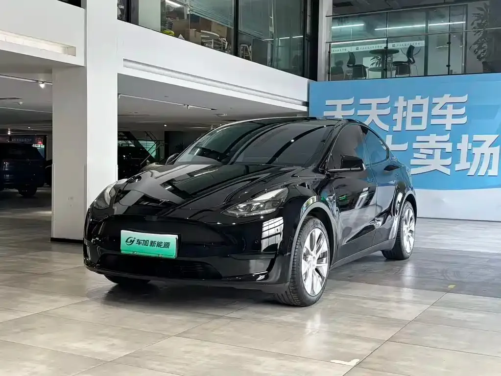 Tesla Model Y — фото 1