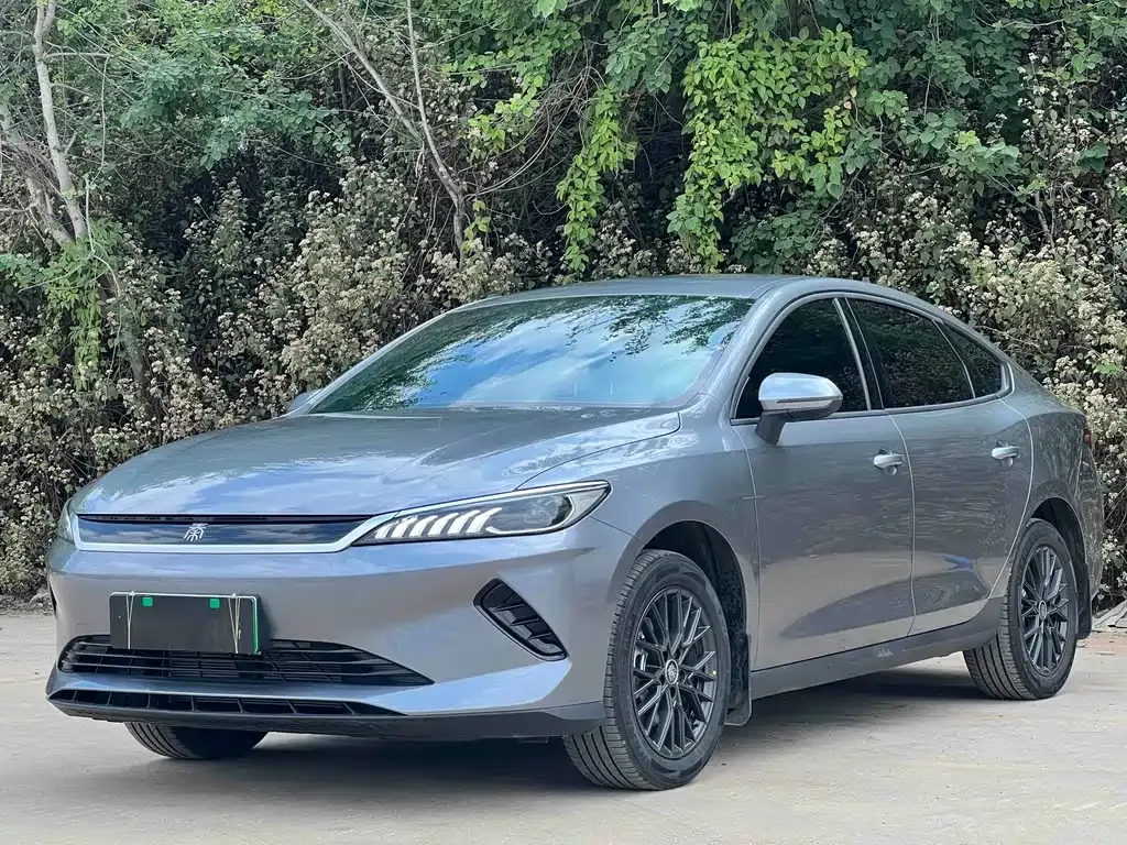 BYD Qin PLUS — фото 1