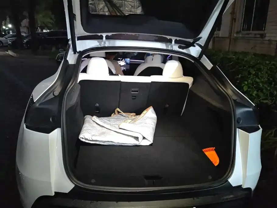 Tesla Model Y — фото 10