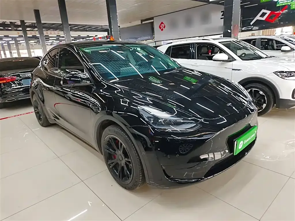 Tesla Model Y — фото 9