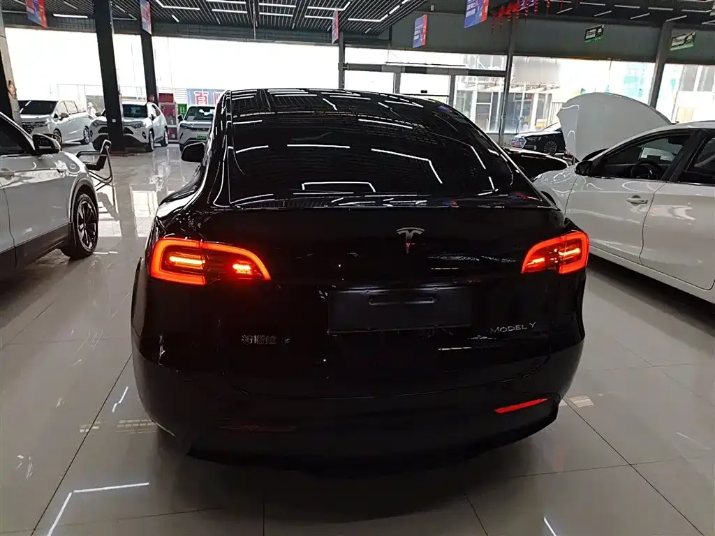 Tesla Model Y — фото 2